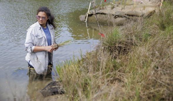 A student stands in the water in a wetlands marsh.